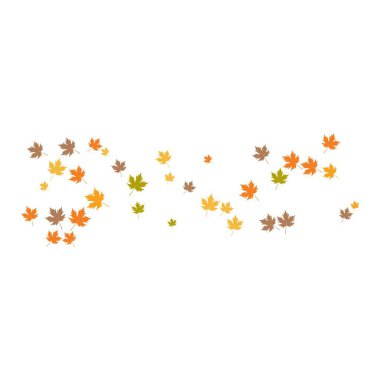 Autumn Leaf arka plan şablon vektör çizimi