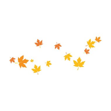 Autumn Leaf arka plan şablon vektör çizimi