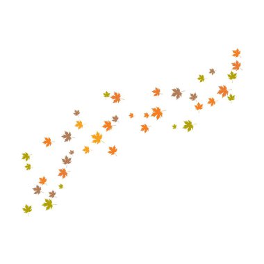 Autumn Leaf arka plan şablon vektör çizimi