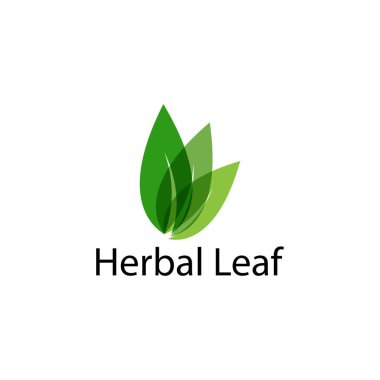 Yeşil yaprak logosu ekoloji doğa element vektör simgesi