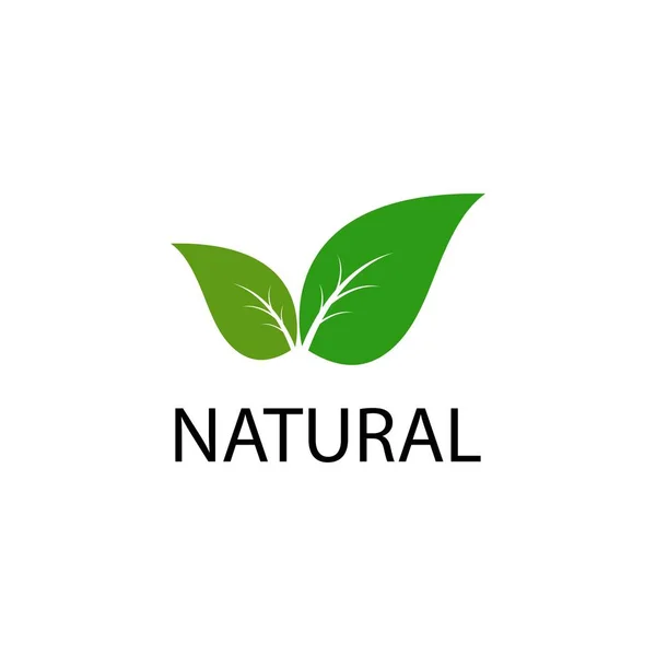 Logo Foglia Verde Ecologia Elemento Natura Icona Vettoriale — Vettoriale Stock