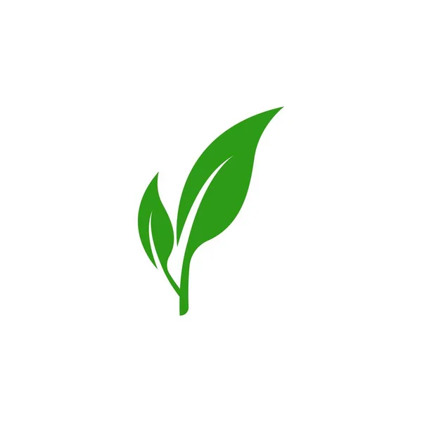 Logo Feuille Verte Écologie Élément Nature Vecteur Icône — Image vectorielle