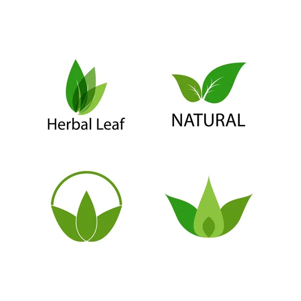 Green Leaf Logo Ecology Nature Element Vector Icon — Stock Vector