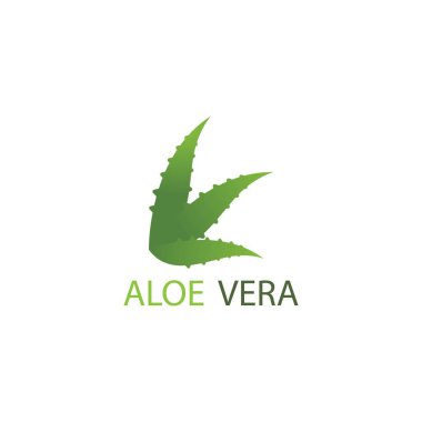 Aloe vera logo vektör ilüstrasyon şablonu