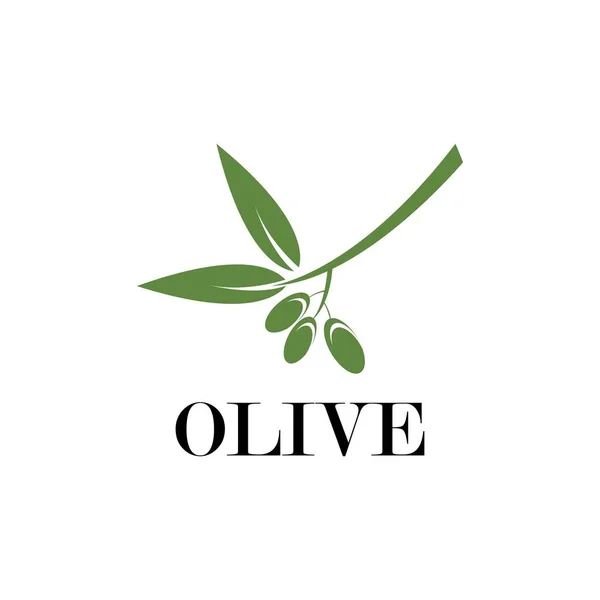 Modèle Logo Olive Conception Vectorielle — Image vectorielle