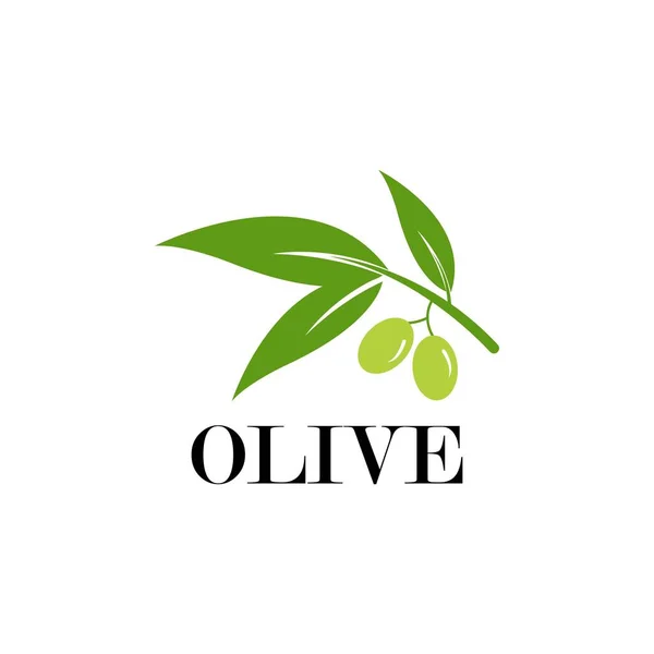 Modèle Logo Olive Conception Vectorielle — Image vectorielle