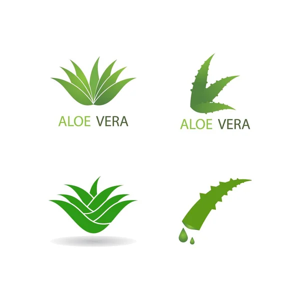 Plantilla Ilustración Del Logotipo Del Aloe Vera — Vector de stock