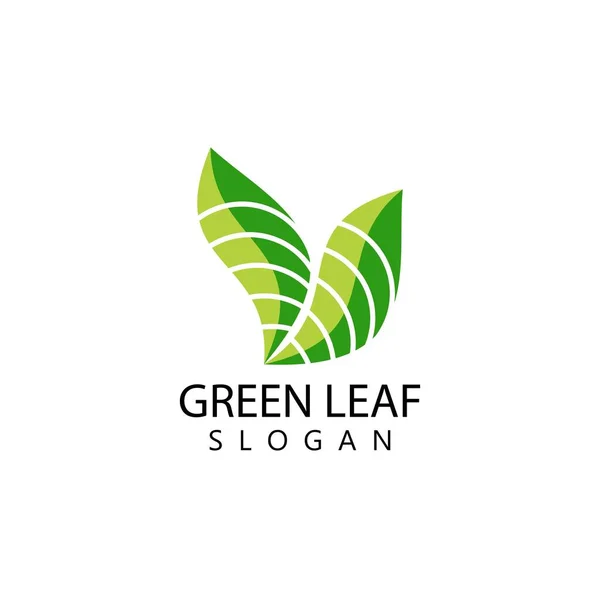 Yeşil yaprak logosu ekoloji doğa element vektör simgesi