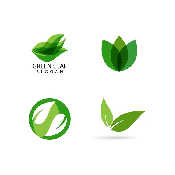 Folha Verde Logotipo Ecologia Elemento Natureza Vetor Ícone —  Vetores de Stock
