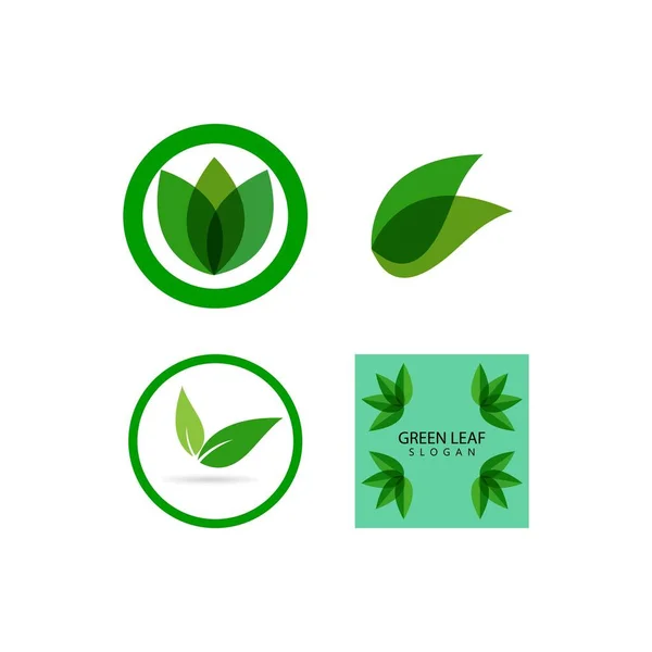 Logo Foglia Verde Ecologia Elemento Natura Icona Vettoriale — Vettoriale Stock