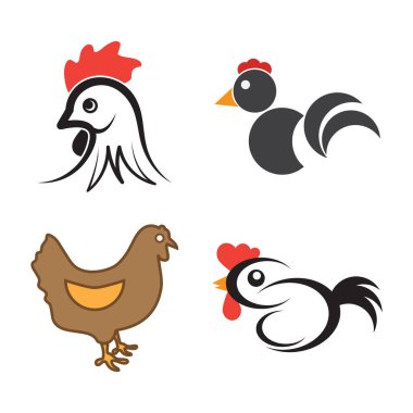 Chiken logo horoz hayvan şablonu resim tasarımı
