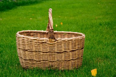 Bahçedeki yeşil çimlere hasır sepeti yakın plan. Hasat et.