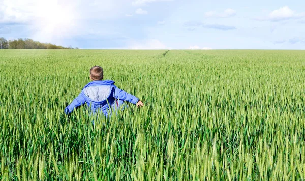 Happy Boy Loopt Een Groen Veld Met Zijn Armen Gespreid — Stockfoto