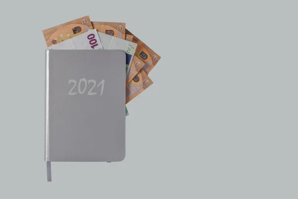 Avro parasıyla açık gri arka planda izole edilmiş Not Defteri Günlüğü 2021