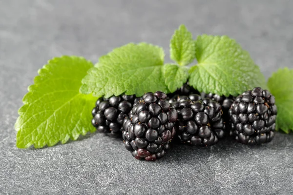 Mora Fresca Con Foglie Menta Sul Tavolo Pietra Sfondo Grigio — Foto Stock