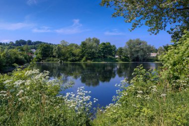 Güneşli bir yaz gününde ağaçların yansıması olan güzel bir gölet. Almanya doğası