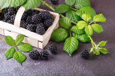 Tahta sepet taze toplanmış böğürtlen ve dallı taş arka planda yapraklar.