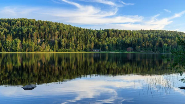 Riflessione Degli Alberi Lago Montagna Foresta Una Giornata Estiva Soleggiata — Foto Stock