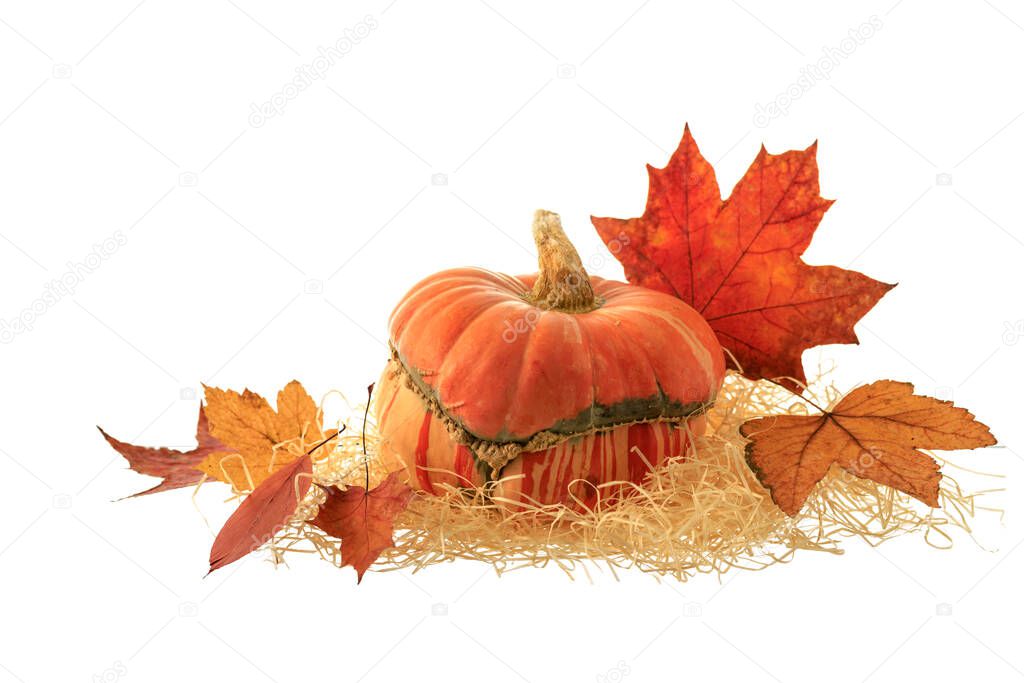 Pumpkin on straw with maple leaves isolated on white background. Autumn decoration