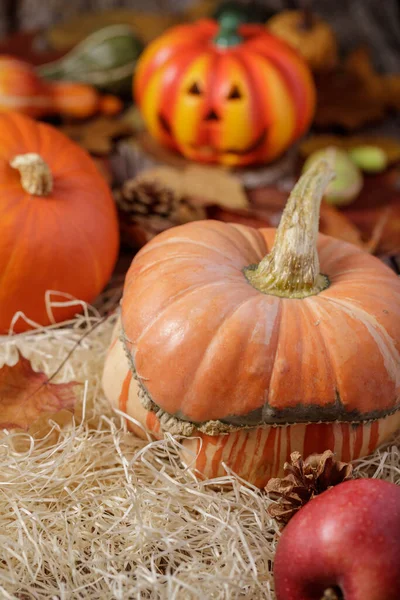 Taze balkabaklarıyla sonbahar tatili dekorasyonu, samanla elmalar ve Cadılar Bayramı balkabağı kafası Jack feneri. 