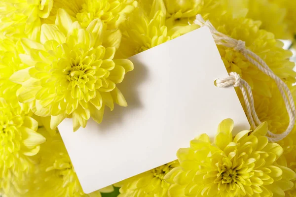 Greeting thank you card or blank label for text with yellow chrysanthemum flowers. Floral background