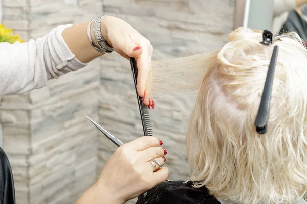 The female hands of a hairdresser stylist cutting a blonde woman hair