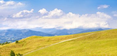 Güzel yaz manzarası