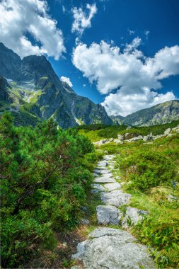 Rysy tepe, Tatra Dağları, Polonya altında siyah göl iz