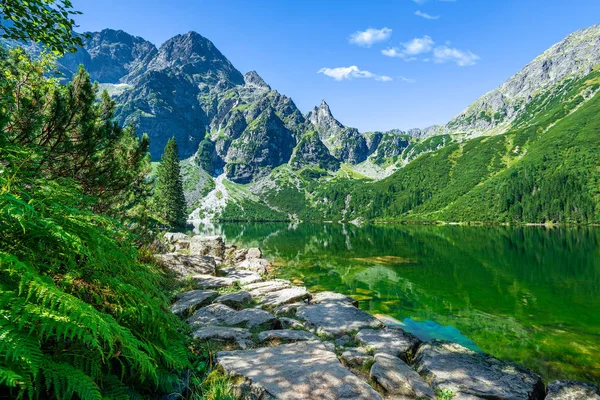 Πράσινο Νερού Λίμνης Morskie Oko Όρη Τάτρα Πολωνία — Φωτογραφία Αρχείου