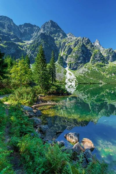 Lago Água Verde Morskie Oko Montanhas Tatra Polônia — Fotografia de Stock