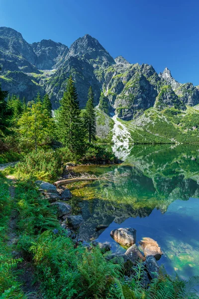 Groen Water Lake Morskie Oko Tatra Bergen Polen Rechtenvrije Stockfoto's