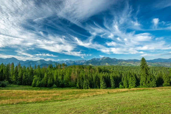 Landschap Tatra Bergen Polen Rechtenvrije Stockfoto's