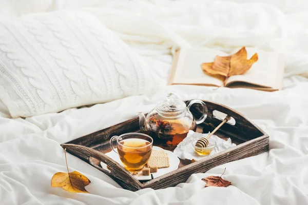 Warming tea in bed. Window light