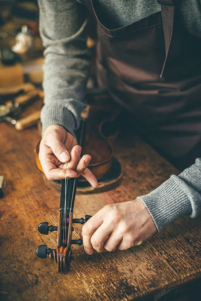 Violino Luthier reparação em sua oficina Imagem De Stock