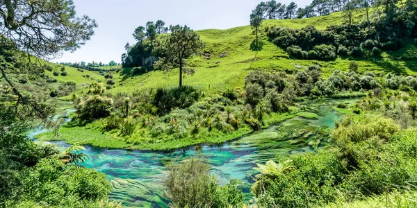 Blue Spring Který Nachází Waihou Walkway Hamilton Nový Zéland Mezinárodně — Stock fotografie