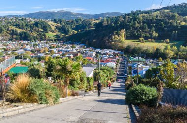 Baldwin Dunedin, Yeni Zelanda'da bulunan dünya dünya en dik sokak sokaktır.