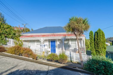 Dunedin içinde bulunan Baldwin sokakta konut, yeni Zealand.It dünya dünya en dik sokakta olduğunu.