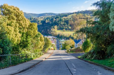 Baldwin Dunedin, Yeni Zelanda'da bulunan dünya dünya en dik sokak sokaktır.