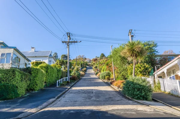 Baldwin Street Som Ligger Dunedin New Zealand Världens Brantaste Gatan — Stockfoto