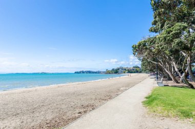 Mission Bay Auckland, Yeni Zelanda bulunduğu bir güzel beyaz kum plajı olduğunu