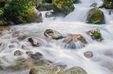 Göl Marian Fiordland Milli Parkı, Milford ses, Yeni Zelanda bulunan şelale.