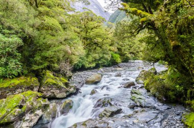 Göl Marian Fiordland Milli Parkı, Milford ses, Yeni Zelanda bulunan şelale.