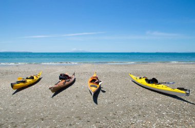 Uzun Bay Beach Park Auckland, Yeni Zelanda boyunca otopark kayaklar.