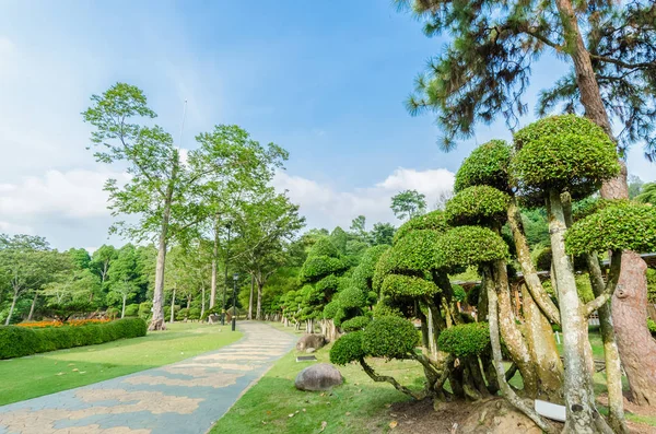 湖泊花园也被称为吉隆坡裴丹娜植物园 它是吉隆坡的第一个大型休闲公园 — 图库照片