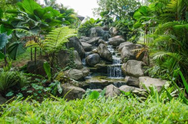 Rainforest şelale görünümünde doğal görünümünü.