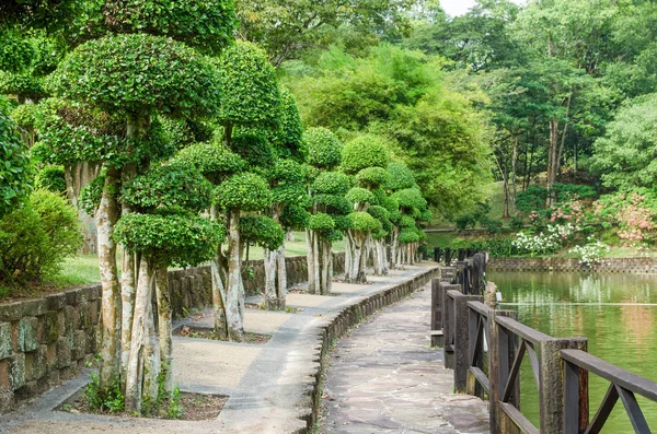 湖边花园又名吉隆坡裴丹娜植物园 是吉隆坡首个大型休闲公园 — 图库照片