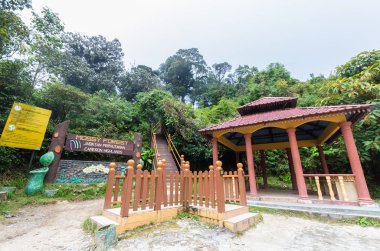 Cameron Highlands - Ekim 28,2014: Gunung Brinchang, Cameron Highlands Malezya yosunlu ormanda girişi