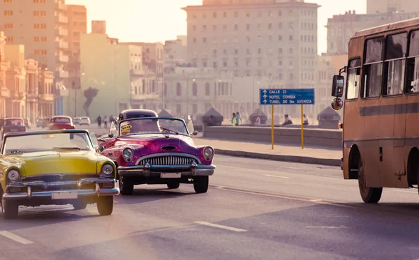 Havana, Cuba - 04 oktober 2018: American purple 1952 Buick Special convertible en een zeldzame gele 1954 Plymouth Savoy convertible vintage auto op de boulevard Malecon in de avondzon in Havana City — Stockfoto