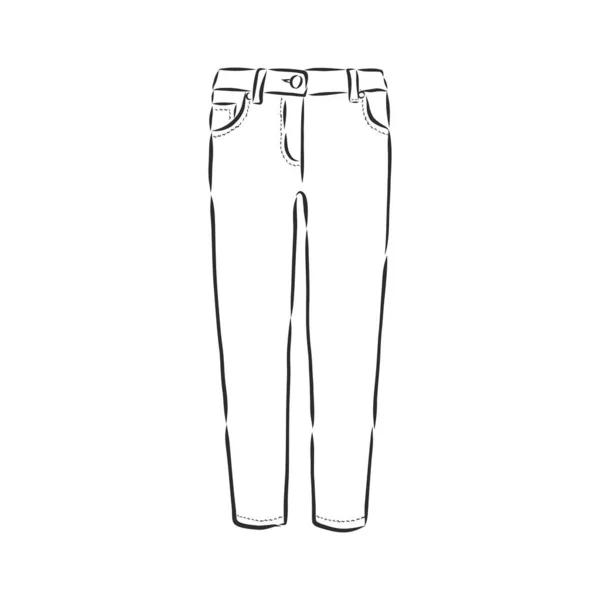 Vector Illustration Women Skinny Pants Women Skinny Jeans Vector Sketch — Stock Vector