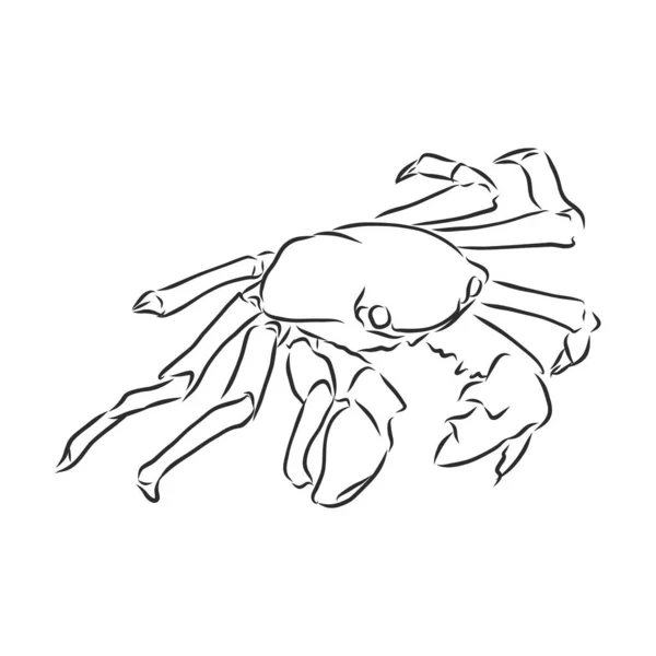 Illustration Rayures Bleu Mer Avec Crabe — Image vectorielle